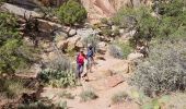 Excursión Senderismo Unknown - 2024 Capitol Reef Hickman Bridge - Photo 3