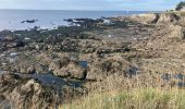 Randonnée Trail Le Pouliguen - Plage de Nau-bout de Batz(18.5K 80D+) - Photo 3