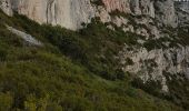 Trail Walking Ollioules - Chateauvallon  - Photo 1