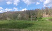 Tour Wandern Rochefort - rando belvaux 28-04-2023 - Photo 12