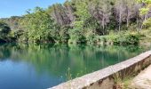 Tour Wandern Le Barroux - Les Crêtes du Graveyron par l'écluse de la Falque - Photo 2