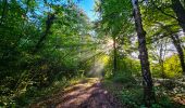 Tour Wandern Philippeville - Balade de Roly à Villers-en-Fagne - Photo 5