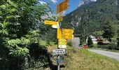 Trail On foot Silenen - Silenen-Erstfeld - Photo 1