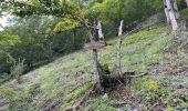 Randonnée Marche Bonac-Irazein - Sentier du port d’Orle - col du Tuc - Photo 9