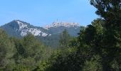 Tocht Stappen Évenos - le Broussan cap gros - Photo 1