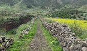Trail Walking Buenavista del Norte - Teno Alto  - Photo 3