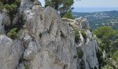 Percorso Marcia Ollioules - Gros Cerveau - Ollioules - Photo 8