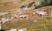 Excursión Marcha nórdica Arbaz - les rousses  - Photo 2