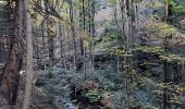 Tocht Stappen Malons-et-Elze - Serre de Barre au départ de Malons  - Photo 4