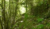 Randonnée Marche Courgoul - Les gorges de Courgouls et le Pic de Cluzel - Photo 1