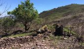 Randonnée Marche Bidarray - Iparaguirre - Photo 3