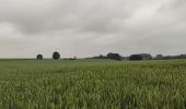 Tour Wandern Borgloon - A travers les vergers de Borgloon  - Photo 5