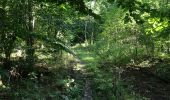 Tocht Te voet Fuldabrück - Bergshausen - Stellbergsee - Photo 10