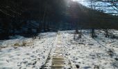 Trail On foot Waimes - Thirimont Blue rhombus - Photo 1