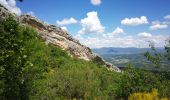 Tocht Stappen Castellet-en-Luberon - Mourre du Grd Lubéron, crêtes et versant Nord  - Photo 6