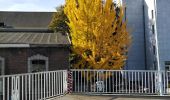 Randonnée Marche Liège - Liège le long de la Meuse et qu'elle que rue pietonnes - Photo 9