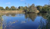 Trail Walking Menthonnex-en-Bornes - Tour du plateau des Bornes  - Photo 3