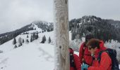 Randonnée Raquettes à neige Divonne-les-Bains - La Vatay Suisse - Photo 2