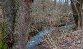 Tour Wandern Aywaille - Degné - Photo 2