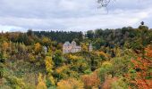 Randonnée Marche Waimes - Signal de Botrange, Ovifat & Château de Reinhardstein - Photo 17