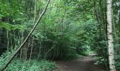 Trail Walking City of Brussels - Bois Cambré et Forest Soignes - Photo 9