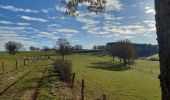 Tour Wandern Lierneux - lierneux . promenade aérienne dans la vallee de la lienne - Photo 14