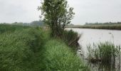 Tour Wandern Veere - Veere 14 km - Photo 14