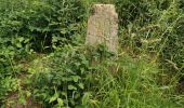 Randonnée Marche Chavigny - De Ludres à Chavigny par le Bois de la Grande Fraize - Photo 3