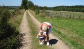 Tour Zu Fuß Büllingen - GrWandArd 15 Büchholz de pracht van het NP Eifel (PVDB) - Photo 2