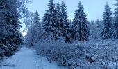 Randonnée Marche Vielsalm - froidure à fraiture  - Photo 2