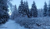 Tocht Stappen Vielsalm - froidure à fraiture  - Photo 2