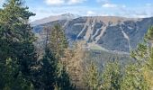 Trail Walking Seyne - SEYNES . LA CABANE DU SERPENT O N  - Photo 1