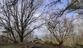 Randonnée Marche Durbuy - ballade autour des menhirs, dolmens et pierres de légendes de Weris - Photo 14