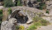 Percorso Marcia Asco - Haute-Corse- Gorges de l Asco - Photo 2