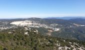 Trail Walking Le Revest-les-Eaux - Le Mont Caume - Photo 14