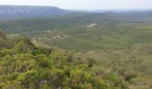 Tocht Stappen Jouques - Mont Concors Taulisson - Photo 2