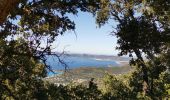 Tour Wandern Le Lavandou - les hauts de cavalière - Photo 3