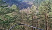 Trail Walking Lutzelbourg - Sentier des Roches et vallée des éclusiers - Photo 19