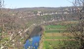 Randonnée Marche Saujac - Saujac-Bastides et saut de la Mounine - Photo 3