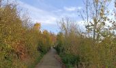 Tocht Stappen Heerlen - Langs de autoweg  - Photo 3