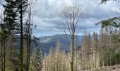 Trail Walking Cornimont - Col du Brabant - croix Louis par Mansuy et Boulaite - Photo 4