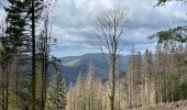 Tour Wandern Cornimont - Col du Brabant - croix Louis par Mansuy et Boulaite - Photo 4