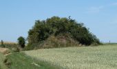 Randonnée A pied Jodoigne - Promenade de la chapelle d'Herbais - Photo 1