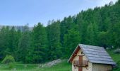 Randonnée A pied Villars-Colmars - De Chasse à la cabane Marie-Louise - Photo 1