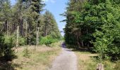 Tocht Stappen Hechtel-Eksel - Promenade vers la piste dans les arbres  - Photo 19