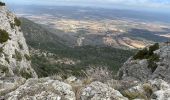 Randonnée Marche Pourcieux - Crêtes du Mont Aurélien - Photo 12