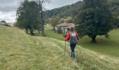 Trail  Beauregard-Baret - Pierre rousse pas de pourceau l’eau basse - Photo 6