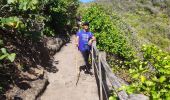 Trail Walking La Trinité - Presqu'île de la caravelle  - Photo 10