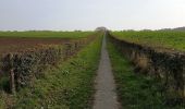 Trail On foot Voerendaal - De Roode draed - Photo 9