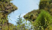 Trail Walking Saint-Paul-en-Forêt - SityTrail - LAC DE MEAULT ?VERSION 15 KMS 340 M - Photo 2
